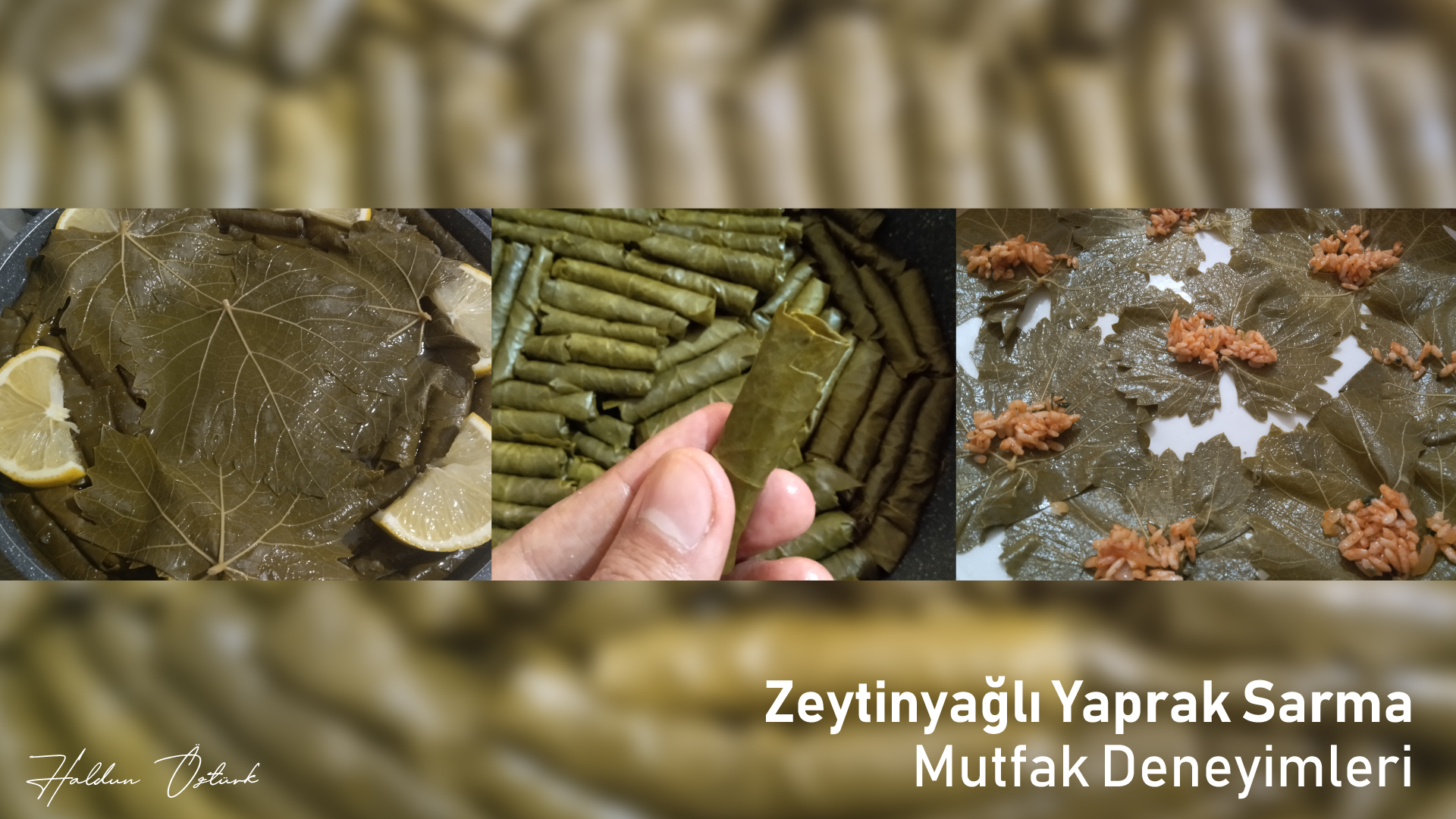 Zeytinyağlı Yaprak Sarma - Mutfak Deneyimleri - Haldun Öztürk